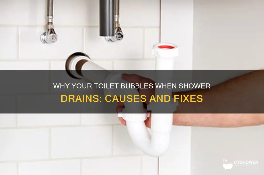when shower drains toilet bubbles