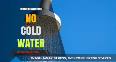 Why Your Shower Lacks Cold Water: Troubleshooting and Quick Fixes