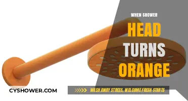 Why Your Shower Head Turns Orange: Causes and Quick Fixes