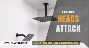 Surviving the Unexpected: When Shower Heads Turn Rogue