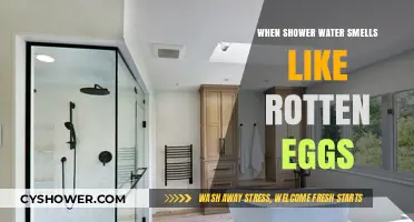 Why Your Shower Water Smells Like Rotten Eggs: Causes and Fixes