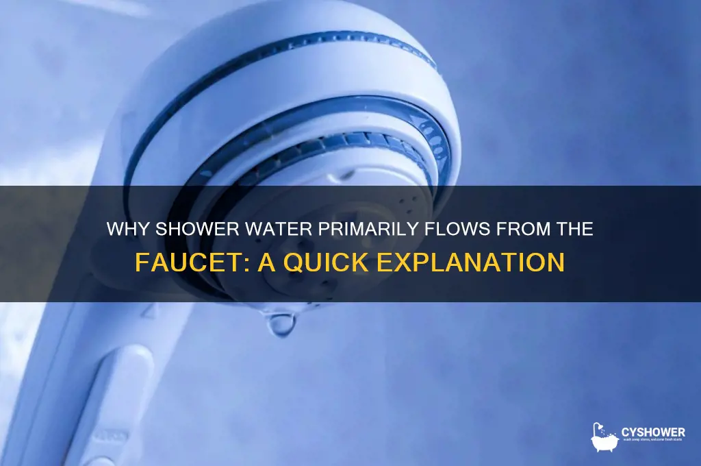 when taking shower water mainly comes out of faucet