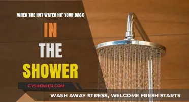 Shower Bliss: The Instant Relief of Hot Water on Your Back