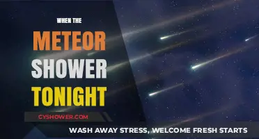 Tonight's Meteor Shower: When and Where to Watch the Celestial Spectacle