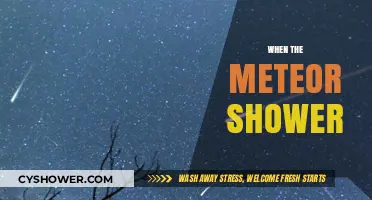 When the Meteor Shower Lights Up the Night Sky