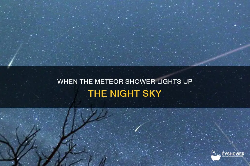 when the meteor shower