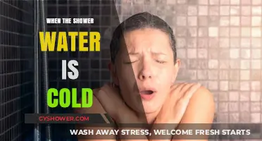 Chilling Showers: Why Your Water Turns Cold and How to Fix It