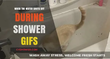 Shower Interrupted: Hilarious GIF Reactions to Sudden Water Shutdowns