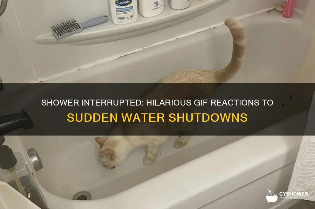 when the water shuts off during shower gifs