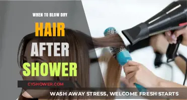Perfect Timing: When to Blow Dry Hair After Shower for Healthy Results