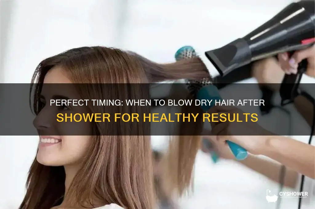 when to blow dry hair after shower