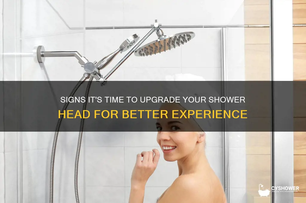 when to buy new shower head