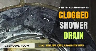 Clogged Shower Drain? When to Call a Plumber for Help