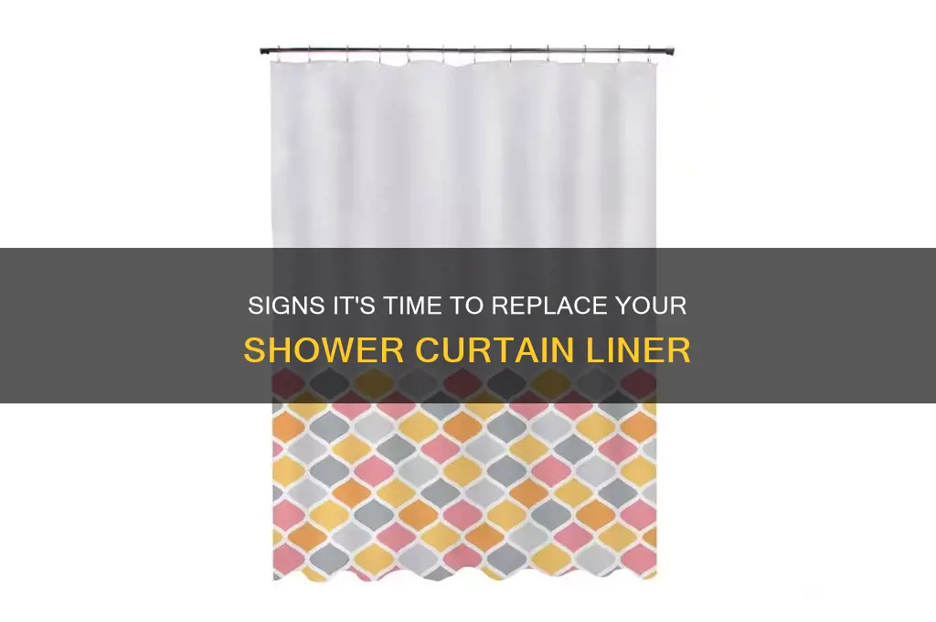 when to change shower curtain liner