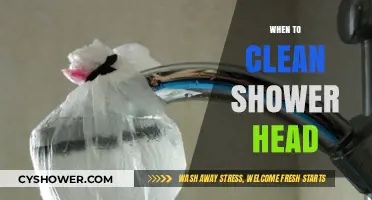 When to Clean Your Shower Head: A Simple Maintenance Guide