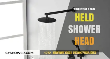Upgrade Your Shower Experience: When to Choose a Handheld Shower Head