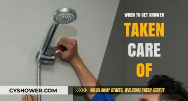 Best Time to Fix Your Shower: Tips for Maintenance and Repairs