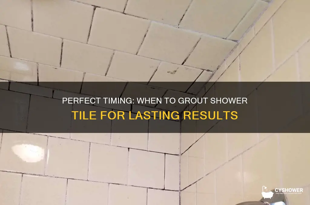 when to grout shower tile