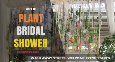 Perfect Timing: When to Plant for a Bridal Shower Garden