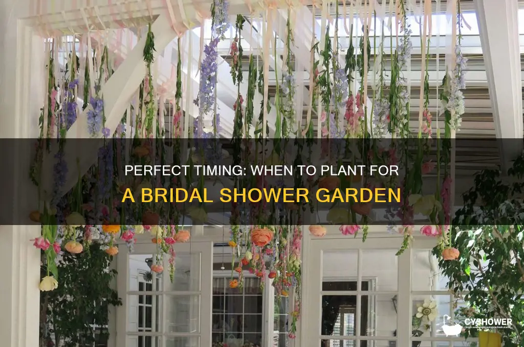 when to plant bridal shower