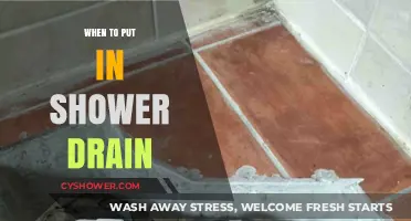 Perfect Timing for Installing Your Shower Drain: A Comprehensive Guide