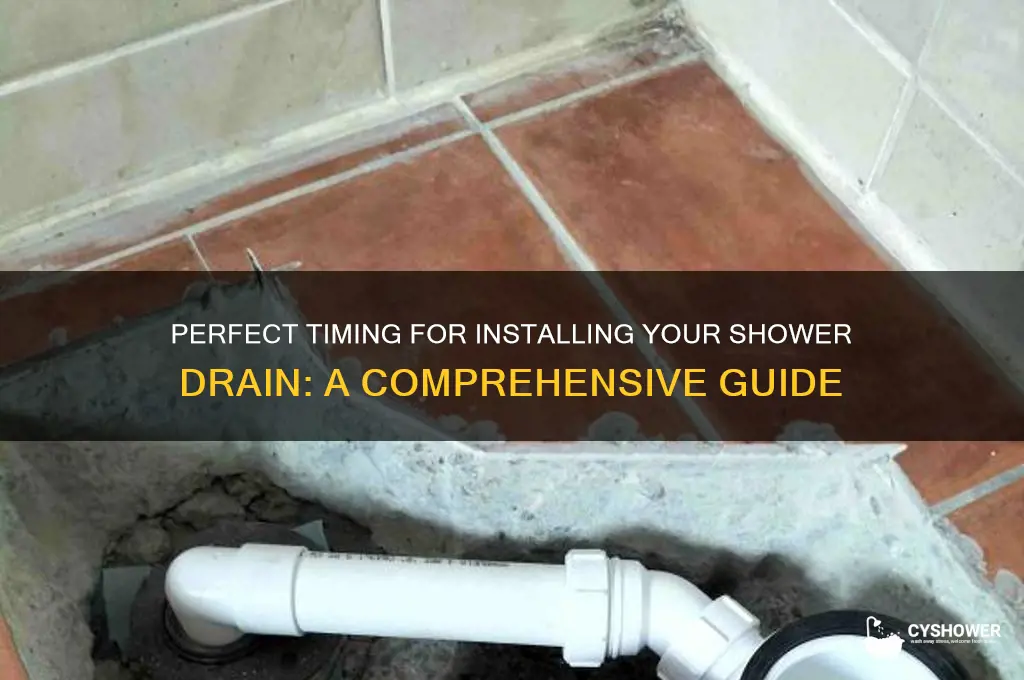 when to put in shower drain