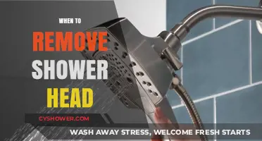 Signs It's Time to Replace Your Shower Head: A Quick Guide