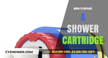 Signs It's Time to Replace Your Shower Cartridge: A Guide