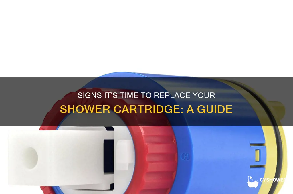 when to replace a shower cartridge