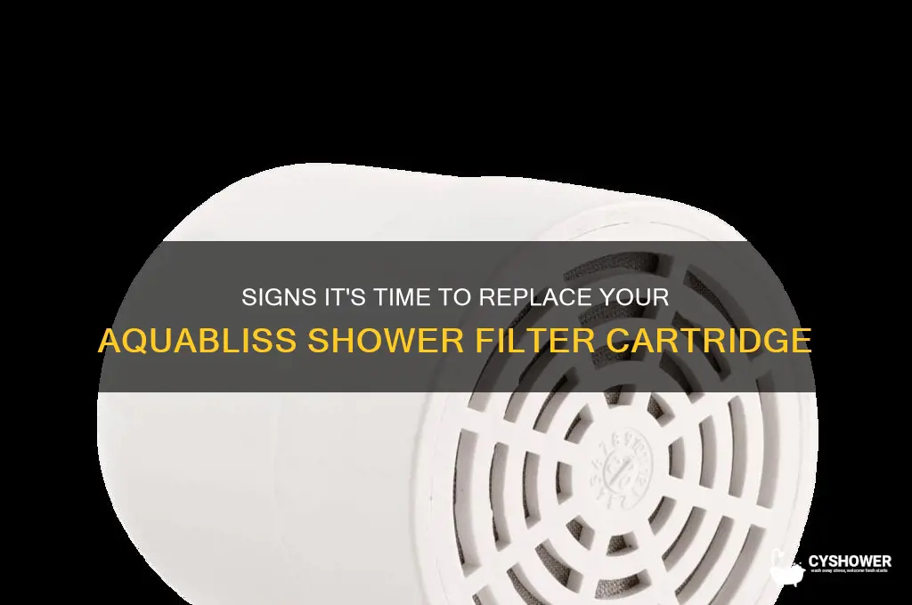 when to replace aquabliss high output universal shower filter cartridge