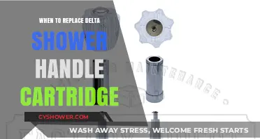 Signs It's Time to Replace Your Delta Shower Handle Cartridge