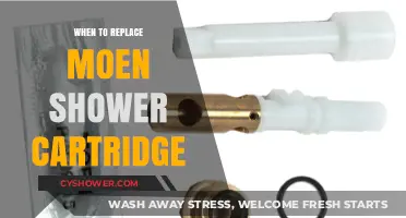 Signs It's Time to Replace Your Moen Shower Cartridge