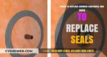 Shower Cartridge vs. Seals: When to Replace Each for Optimal Performance