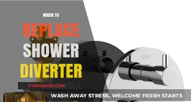 Signs It's Time to Replace Your Shower Diverter Valve