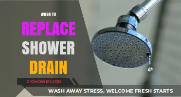 Signs It's Time to Replace Your Shower Drain: A Guide