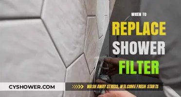 Signs It's Time to Replace Your Shower Filter for Better Water