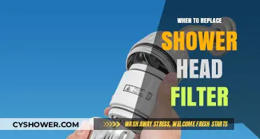 Signs It's Time to Replace Your Shower Head Filter for Cleaner Water