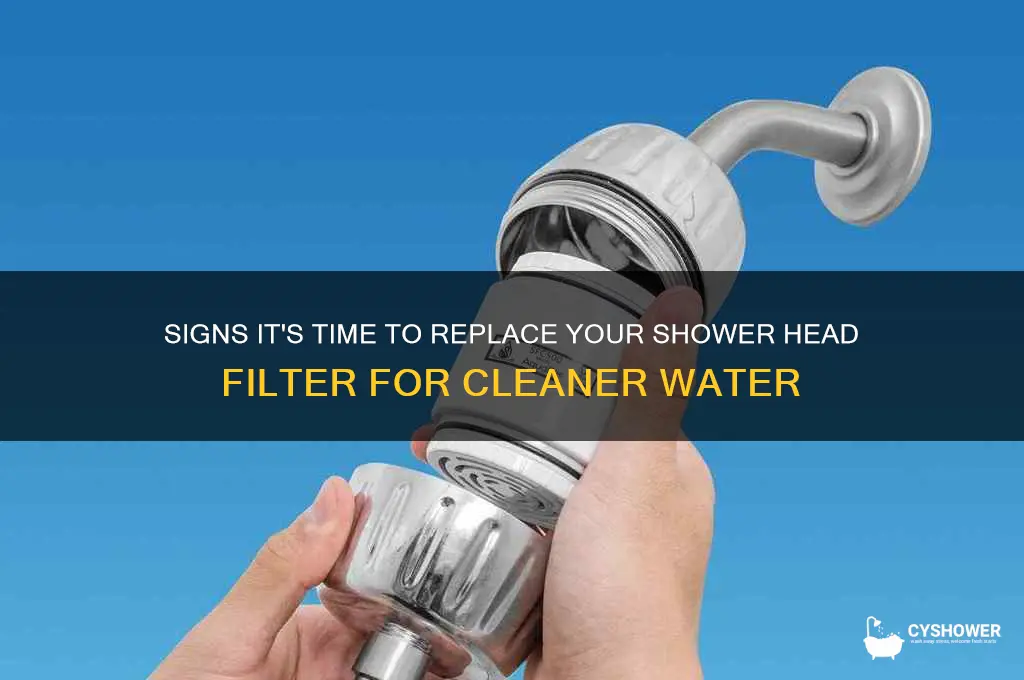when to replace shower head filter