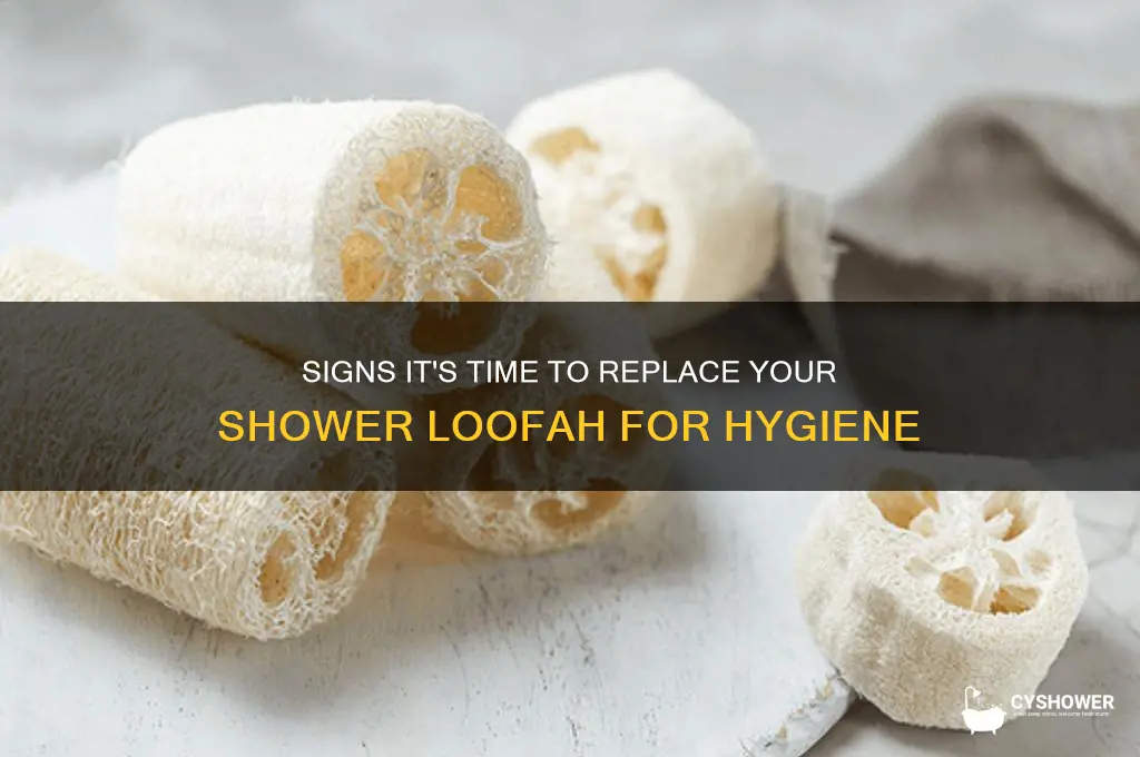 when to replace shower loofa