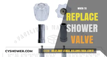 Signs It's Time to Replace Your Shower Valve: A Guide