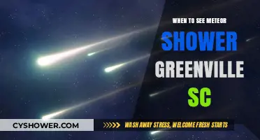 Greenville SC's Best Meteor Shower Viewing Times and Tips