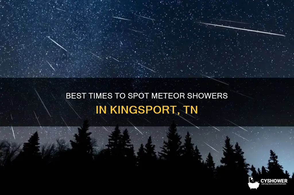 when to see meteor shower in kingsport tn