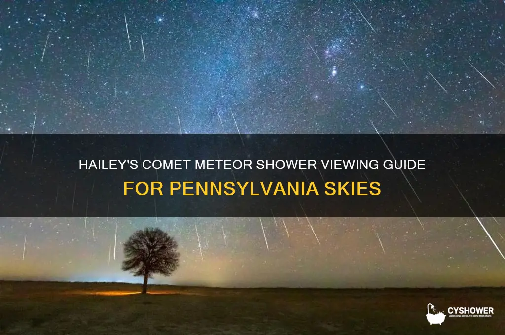 when to see meteor shower in pa hailey