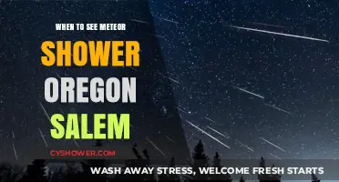 Best Times to Spot Meteor Showers in Salem, Oregon