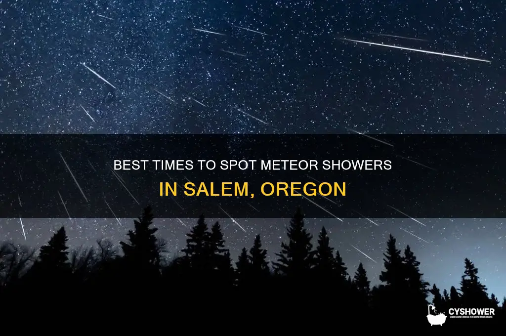 when to see meteor shower oregon salem