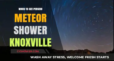 Best Time to Watch Perseid Meteor Shower in Knoxville