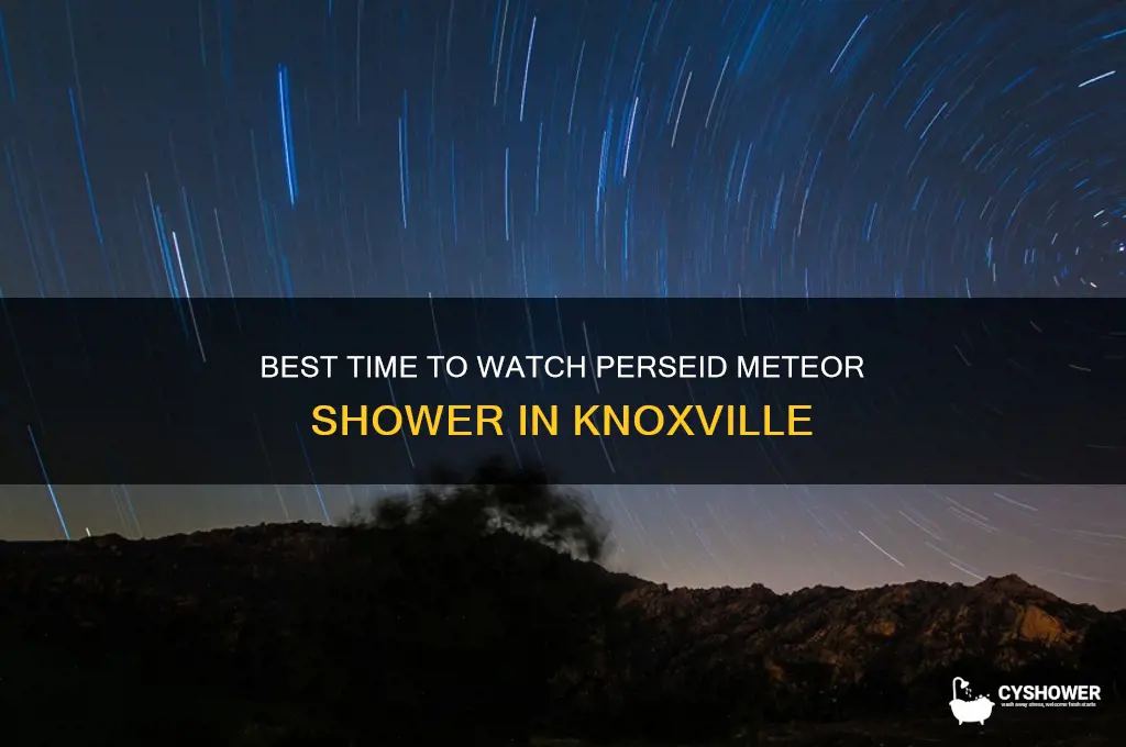 when to see perseid meteor shower knoxville