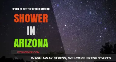 Arizona's Leonid Meteor Shower: Best Viewing Times and Tips