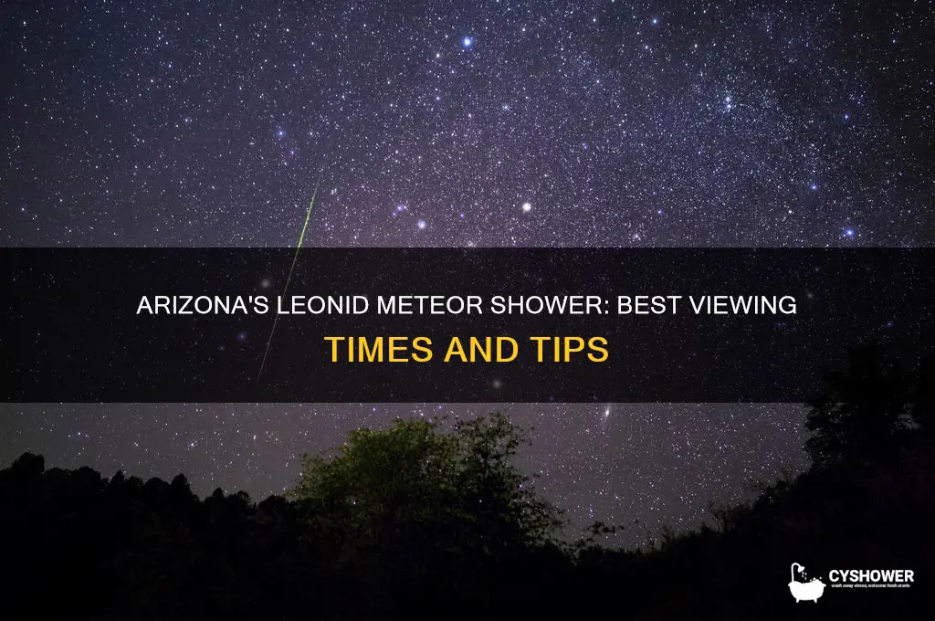 when to see the leonid meteor shower in arizona