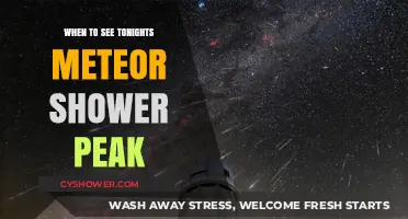 Catch the Meteor Shower Peak Tonight: Best Viewing Tips